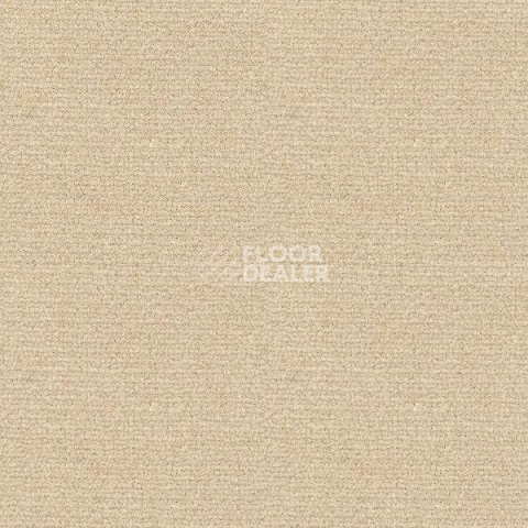 Ковролин Radici Abetone Avorio 4215 фото 1 | FLOORDEALER